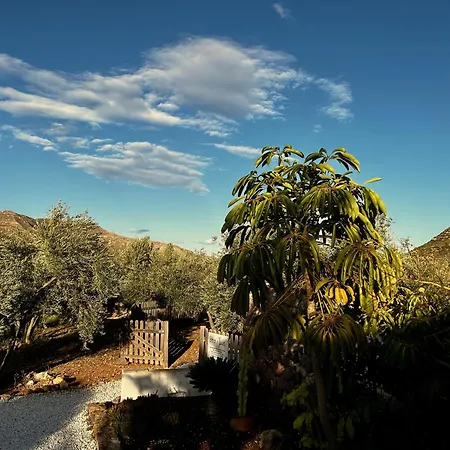 Aparthotel Oro Y Luz 4*